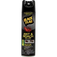 Insect Spray Diversion Safe